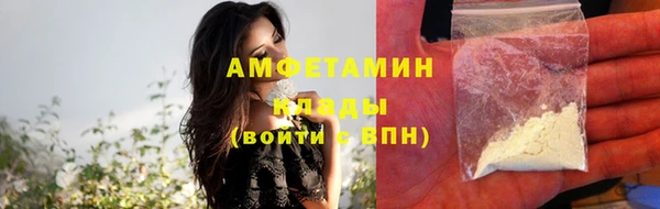 мдпв Елабуга