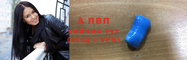 ПСИЛОЦИБИНОВЫЕ ГРИБЫ Дмитриев