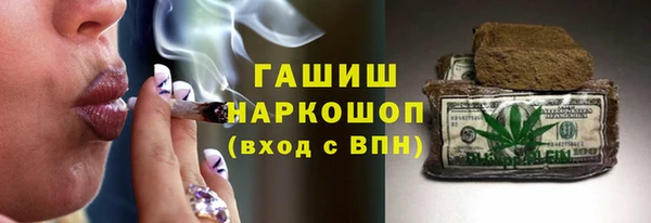мдпв Елабуга