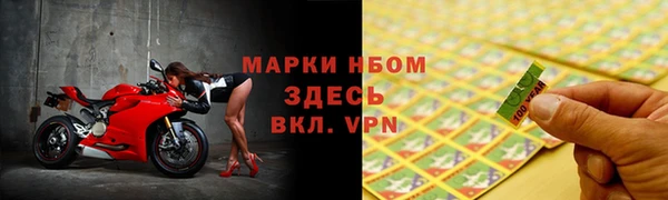 ПСИЛОЦИБИНОВЫЕ ГРИБЫ Дмитриев