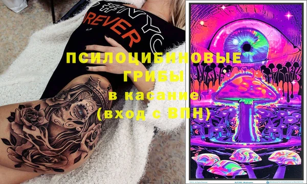 ПСИЛОЦИБИНОВЫЕ ГРИБЫ Дмитриев