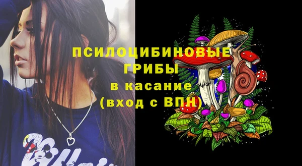 мдпв Елабуга