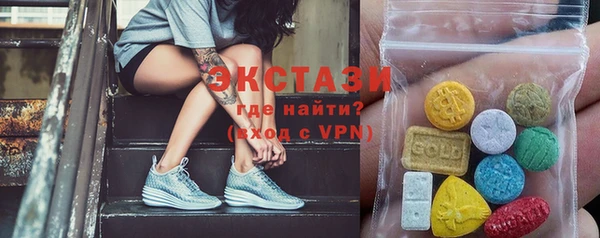 мдпв Елабуга