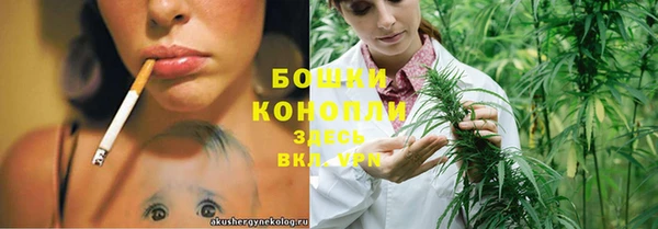 мдпв Елабуга